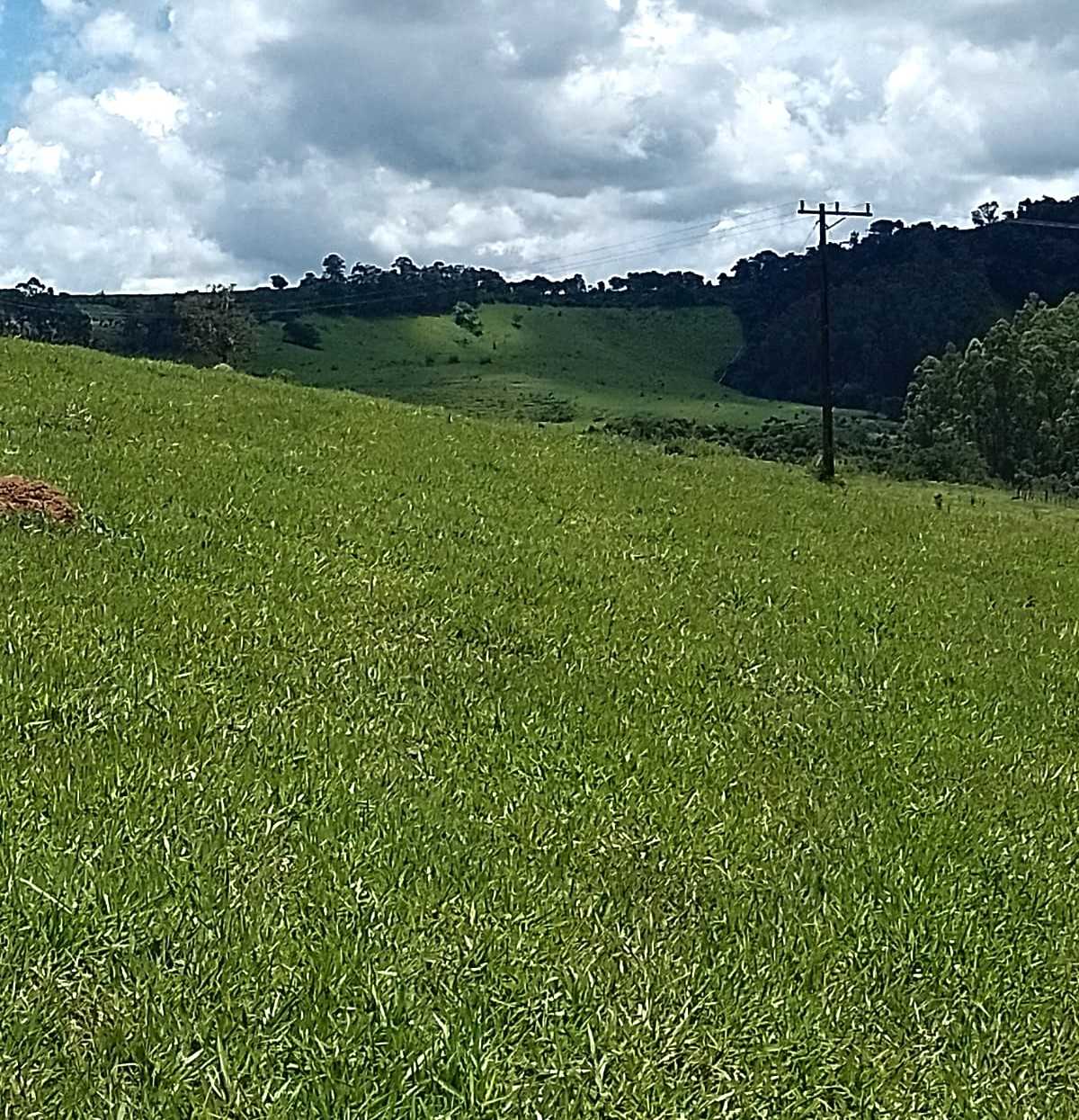 Chácara à venda com 3 quartos, 1700000m² - Foto 17