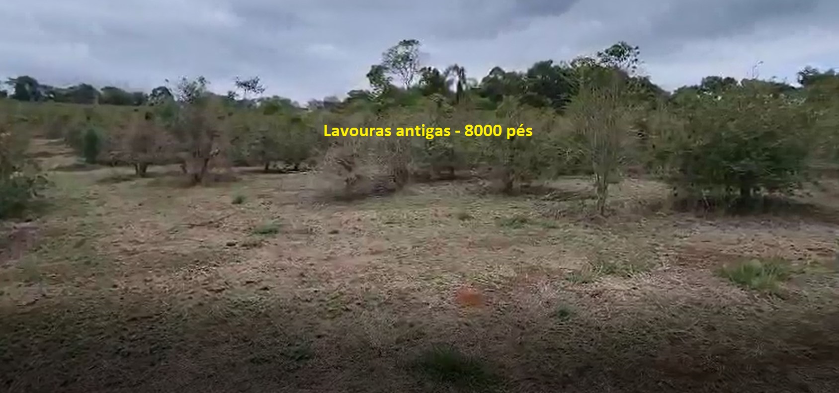 Chácara à venda com 3 quartos, 363000m² - Foto 11