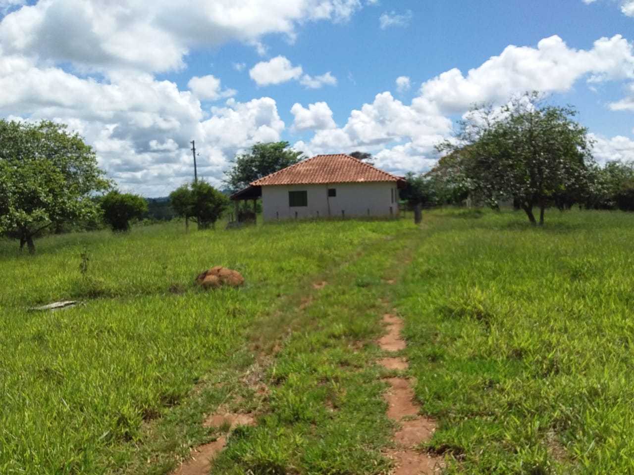 Chácara à venda com 3 quartos, 363000m² - Foto 7