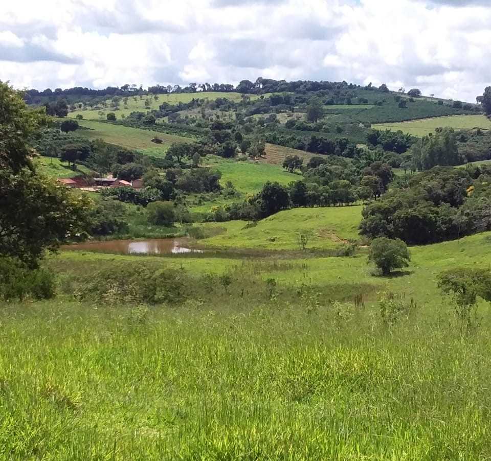 Chácara à venda com 3 quartos, 363000m² - Foto 14