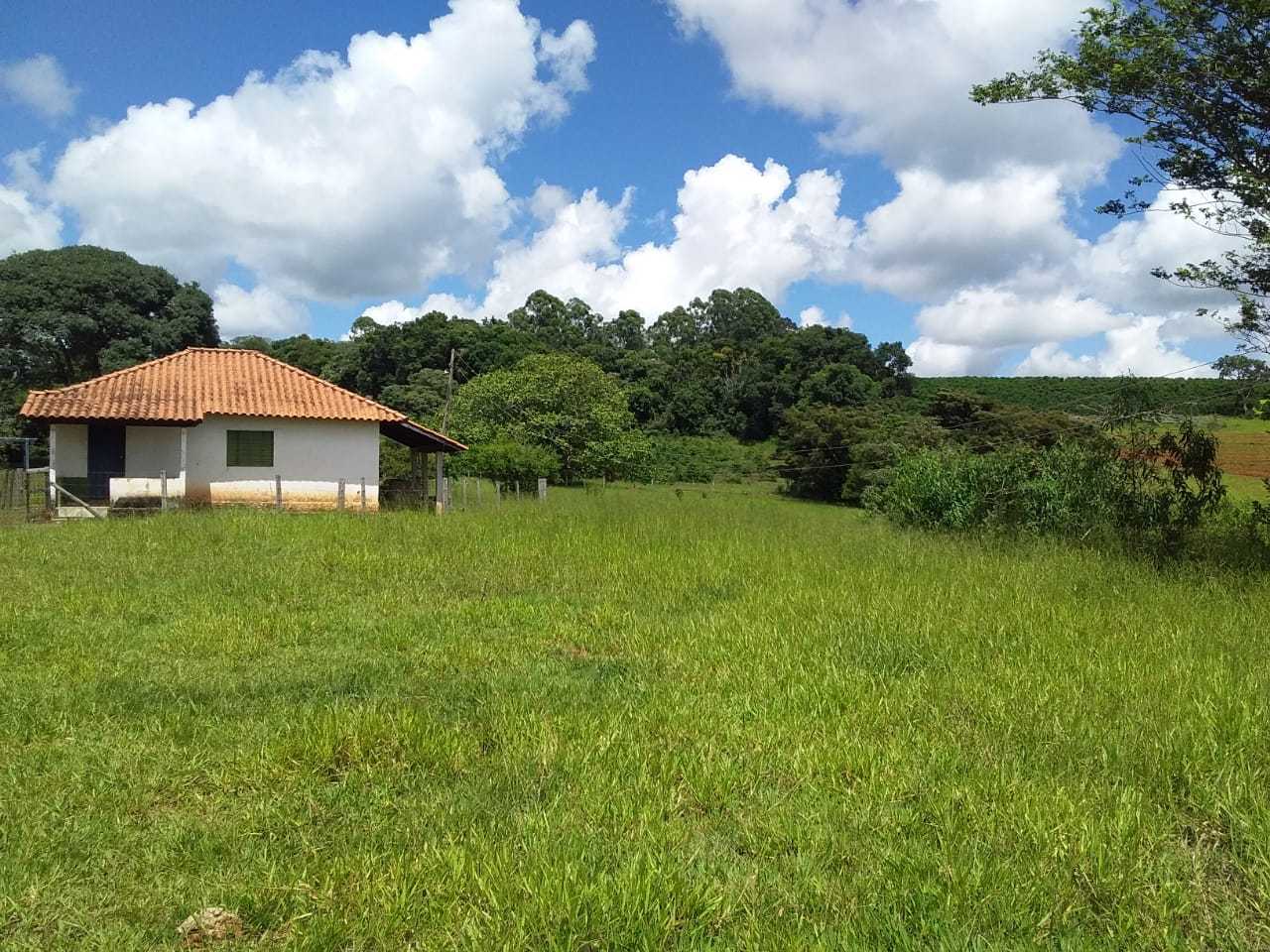 Chácara à venda com 3 quartos, 363000m² - Foto 8