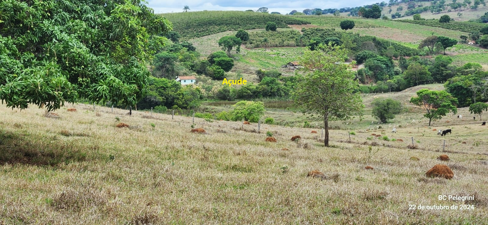 Chácara à venda com 3 quartos, 363000m² - Foto 2