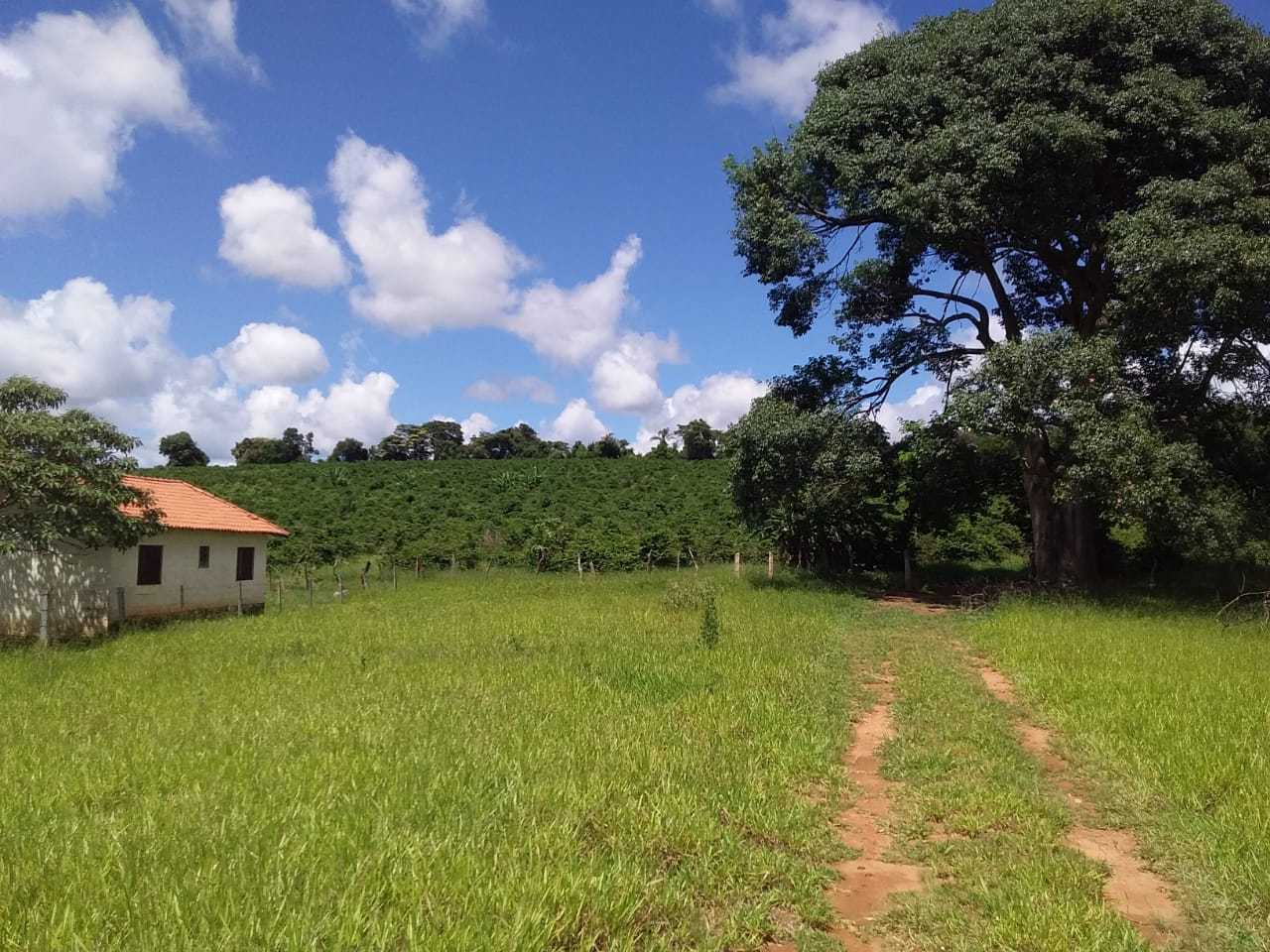 Chácara à venda com 3 quartos, 363000m² - Foto 9