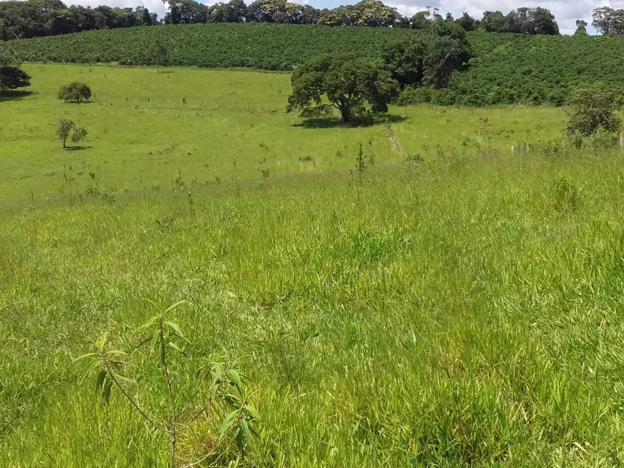 Chácara à venda com 3 quartos, 363000m² - Foto 21