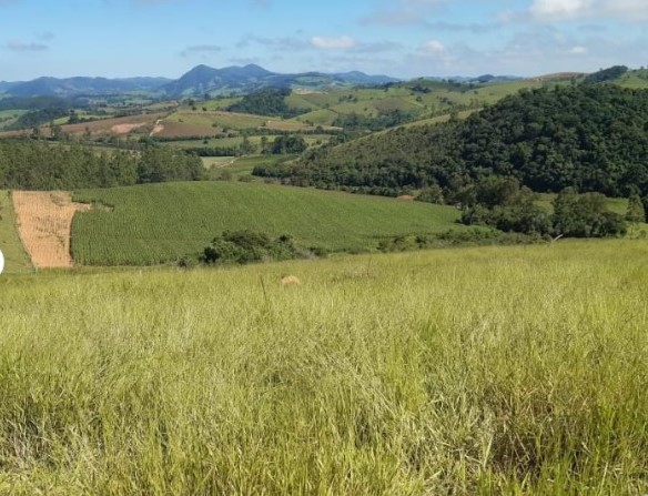 Chácara, 3 quartos, 97 hectares - Foto 1