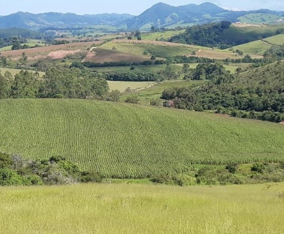 Chácara à venda com 3 quartos, 968000m² - Foto 7