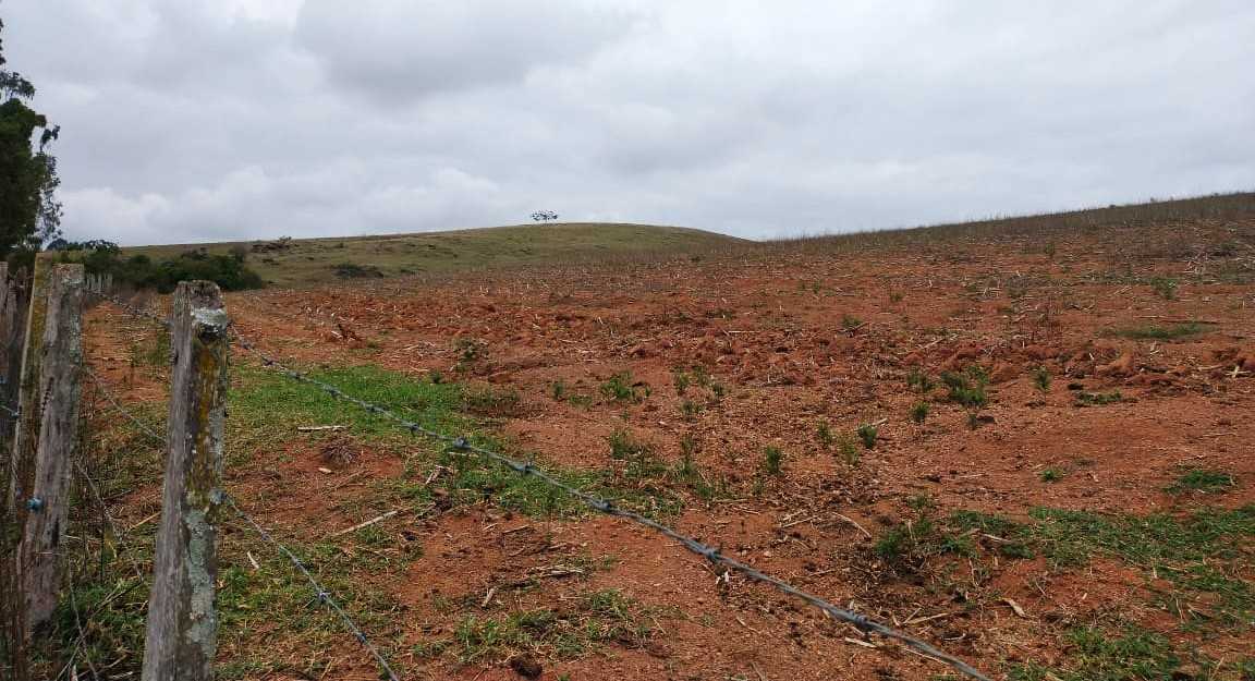 Chácara à venda com 3 quartos, 968000m² - Foto 6