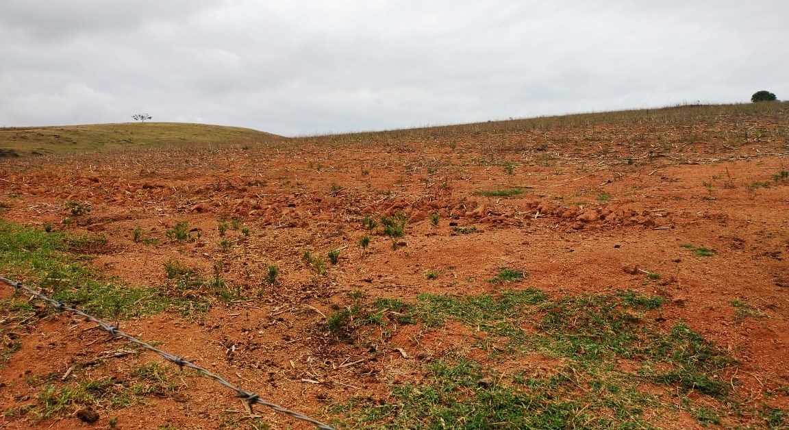 Chácara, 3 quartos, 97 hectares - Foto 3