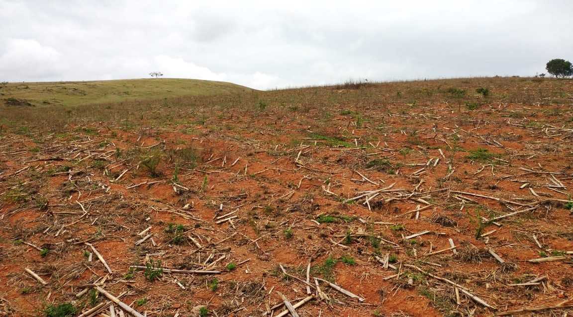 Chácara à venda com 3 quartos, 968000m² - Foto 10