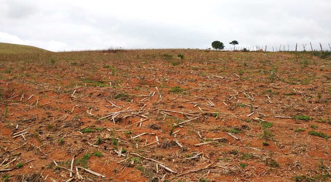 Chácara à venda com 3 quartos, 968000m² - Foto 13