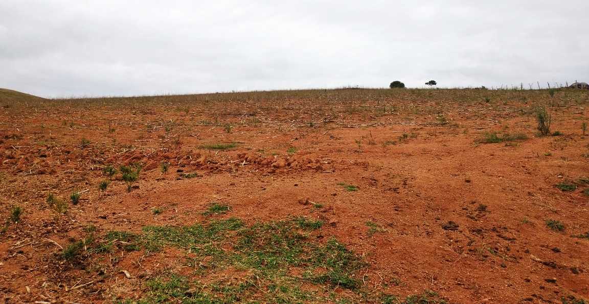 Chácara, 3 quartos, 97 hectares - Foto 4