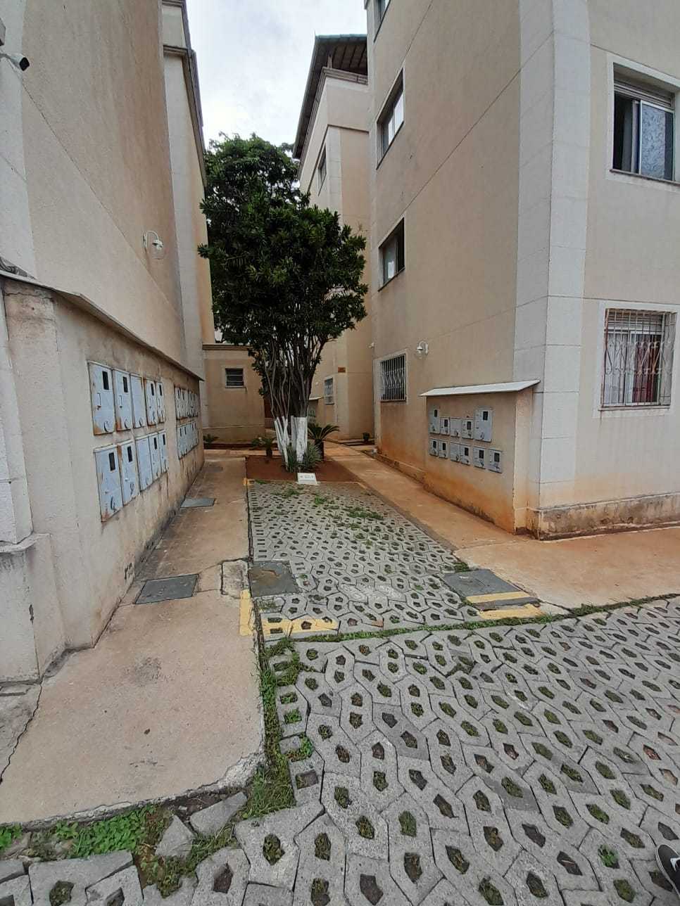 Apartamento à venda com 3 quartos, 67m² - Foto 12