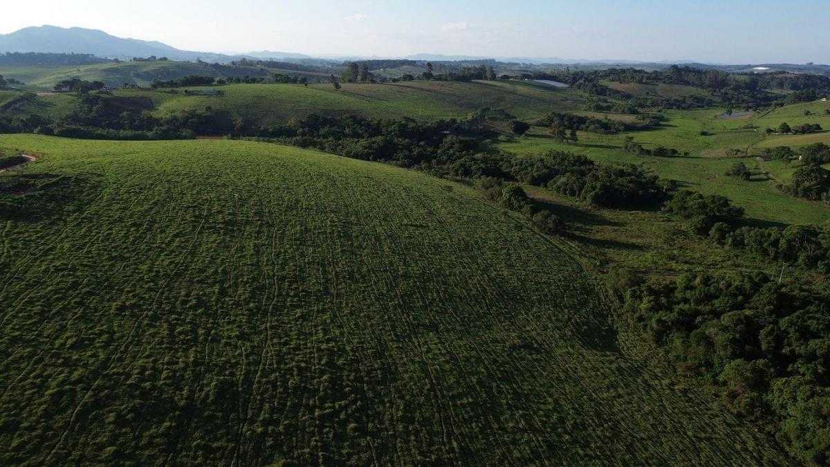 Chácara à venda com 3 quartos, 1089000m² - Foto 16