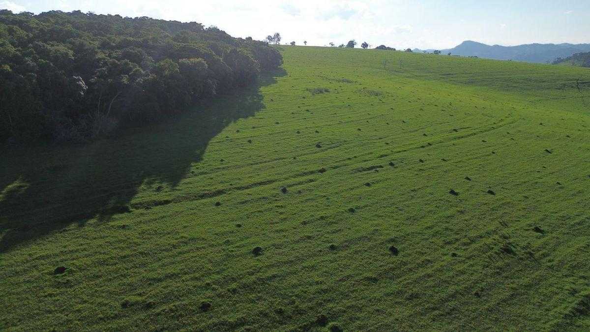 Chácara à venda com 3 quartos, 1089000m² - Foto 14