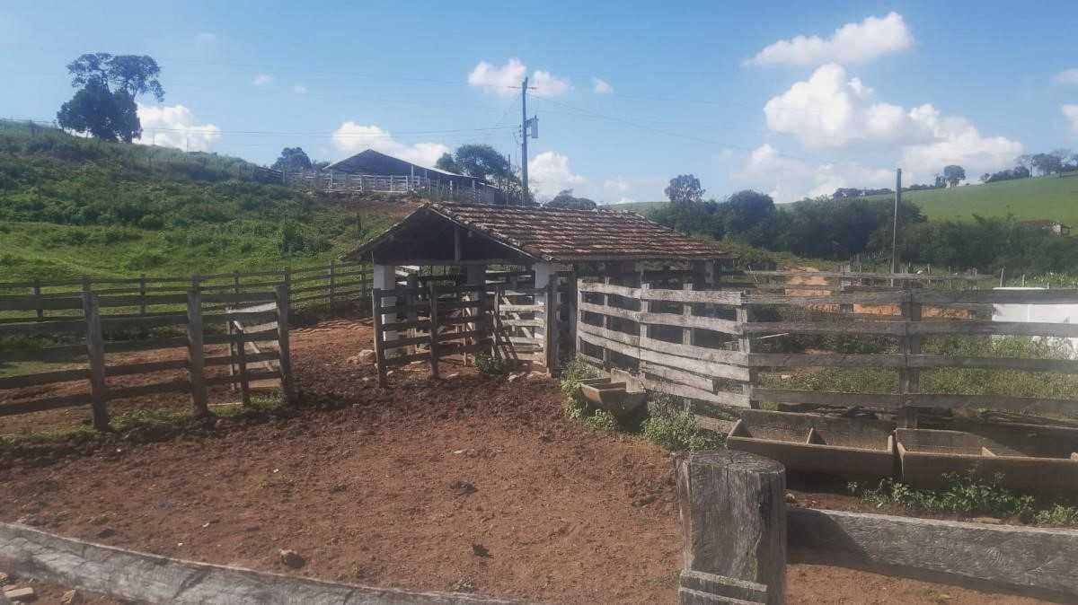 Chácara à venda com 4 quartos, 968000m² - Foto 13