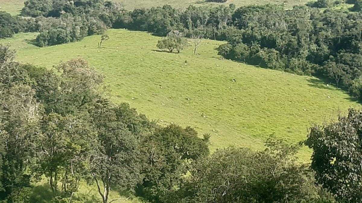 Chácara à venda com 4 quartos, 968000m² - Foto 8