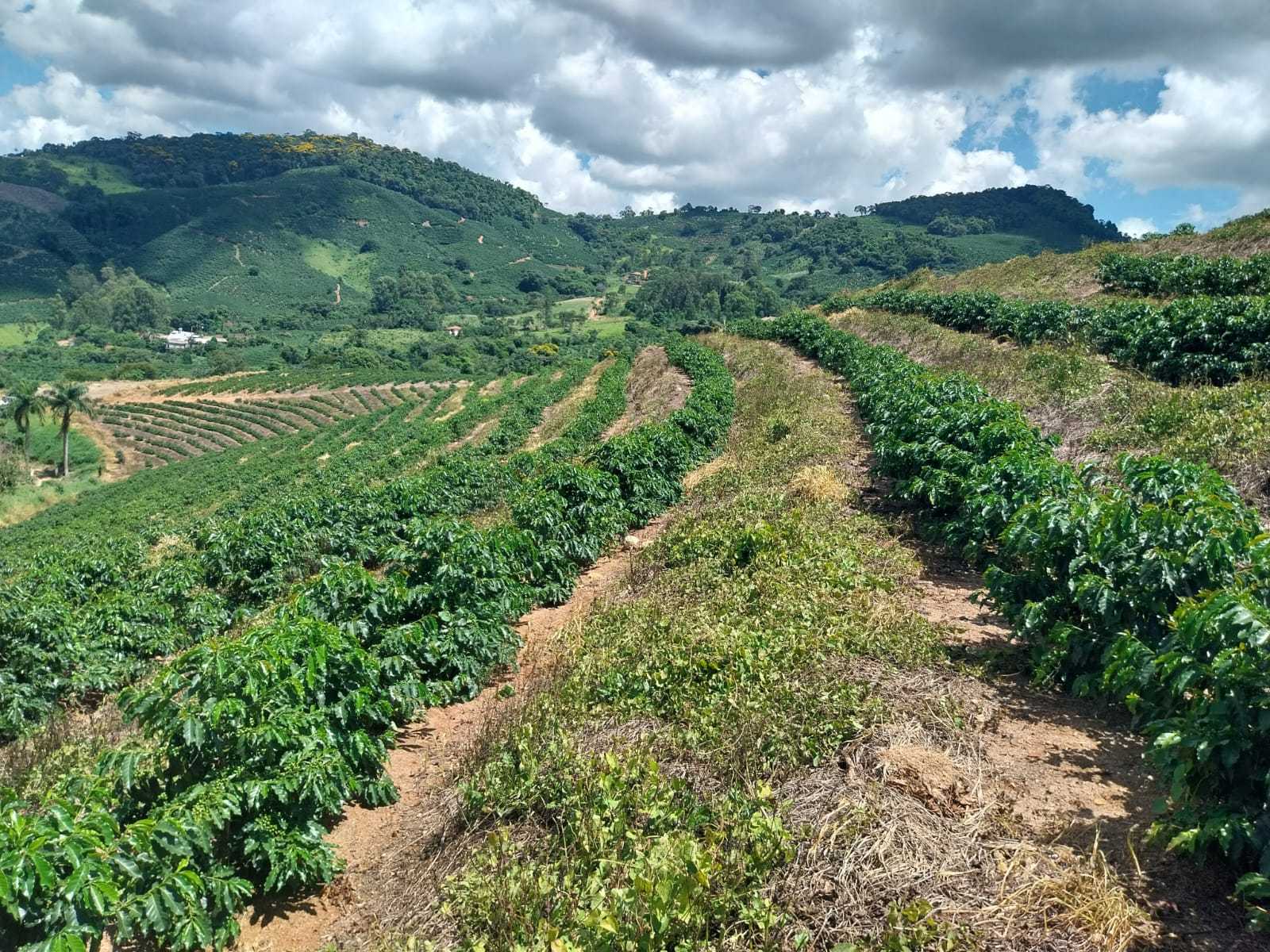 Chácara à venda com 1 quarto, 1600000m² - Foto 3