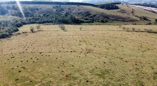 Chácara à venda com 4 quartos, 968000m² - Foto 3