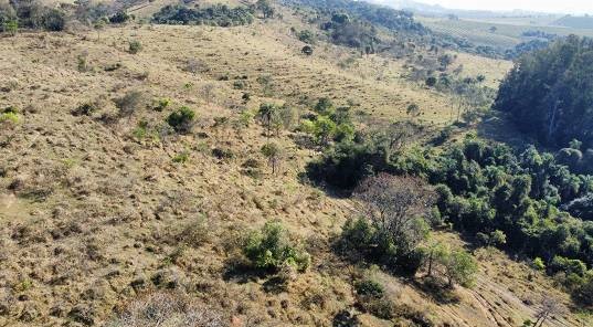 Chácara à venda com 4 quartos, 968000m² - Foto 6