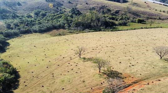 Chácara à venda com 4 quartos, 968000m² - Foto 9