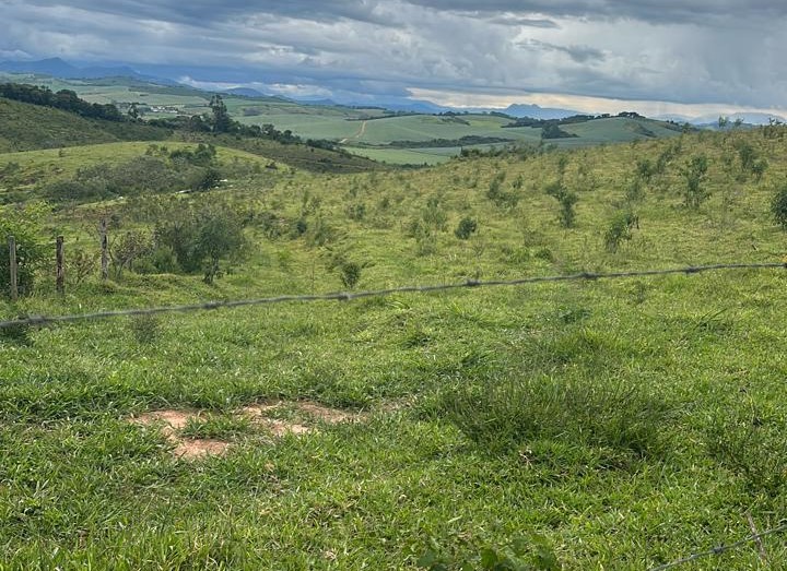 Chácara à venda com 3 quartos, 1936000m² - Foto 4