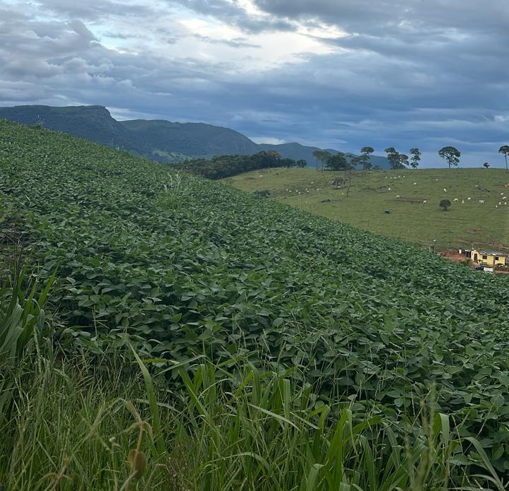 Chácara à venda com 3 quartos, 1936000m² - Foto 6