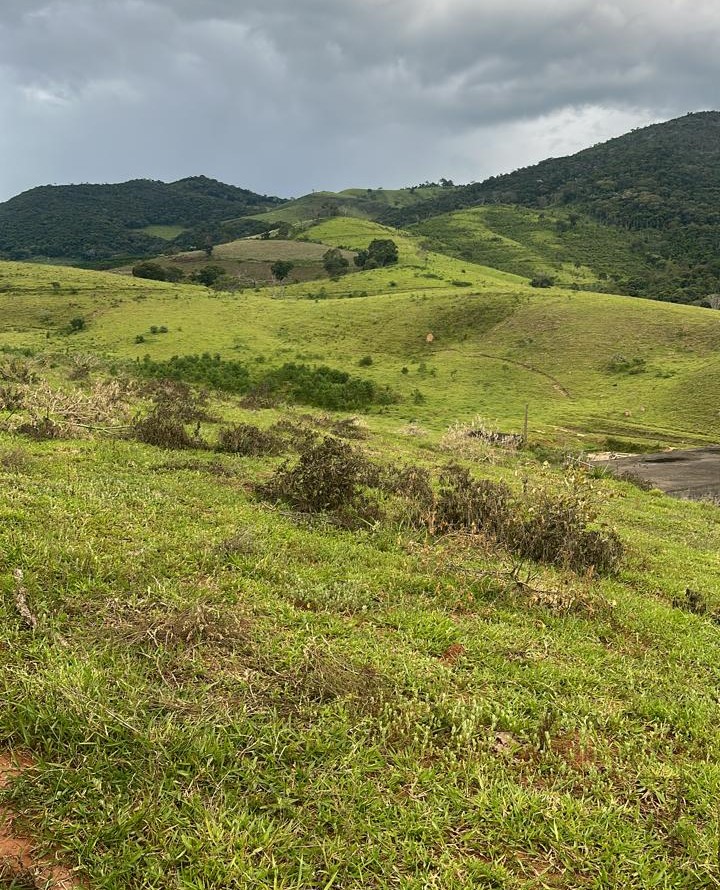 Chácara à venda com 3 quartos, 1936000m² - Foto 1