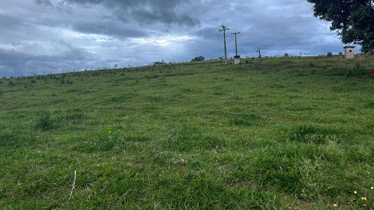 Chácara à venda com 3 quartos, 1936000m² - Foto 5