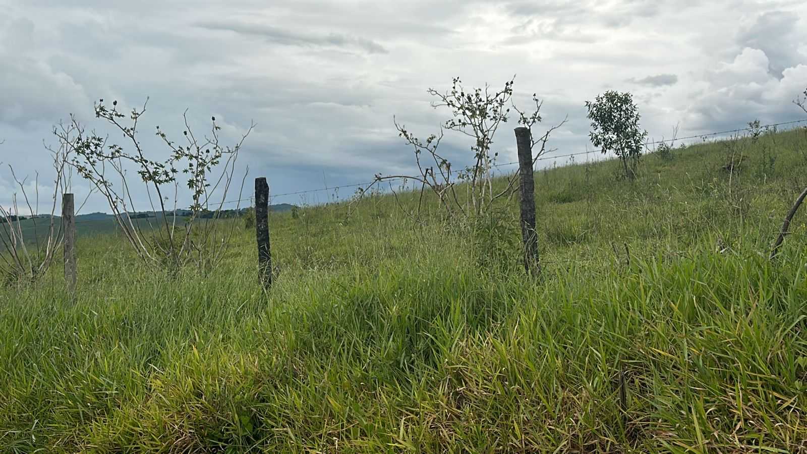 Chácara à venda com 3 quartos, 1936000m² - Foto 8