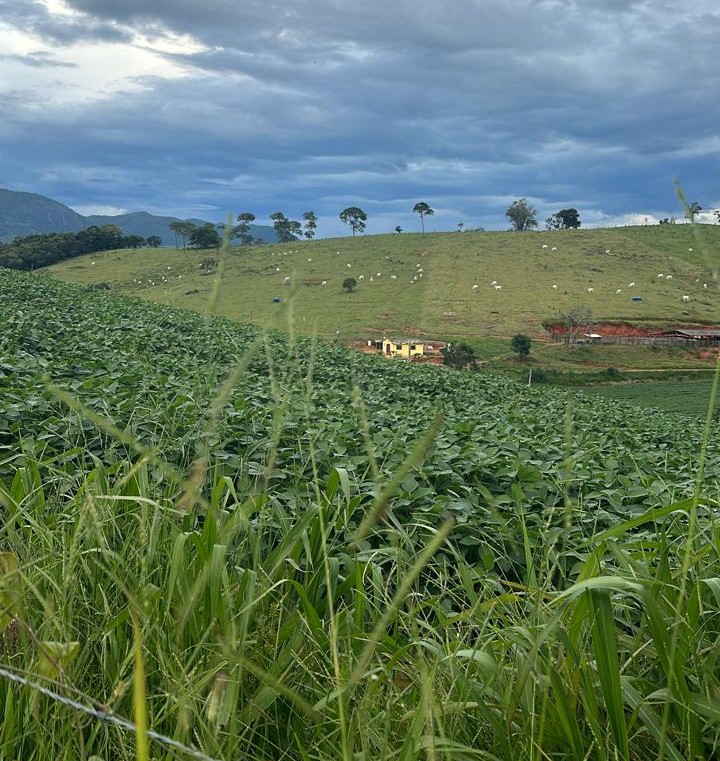 Chácara à venda com 3 quartos, 1936000m² - Foto 11