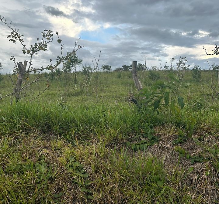 Chácara à venda com 3 quartos, 1936000m² - Foto 7