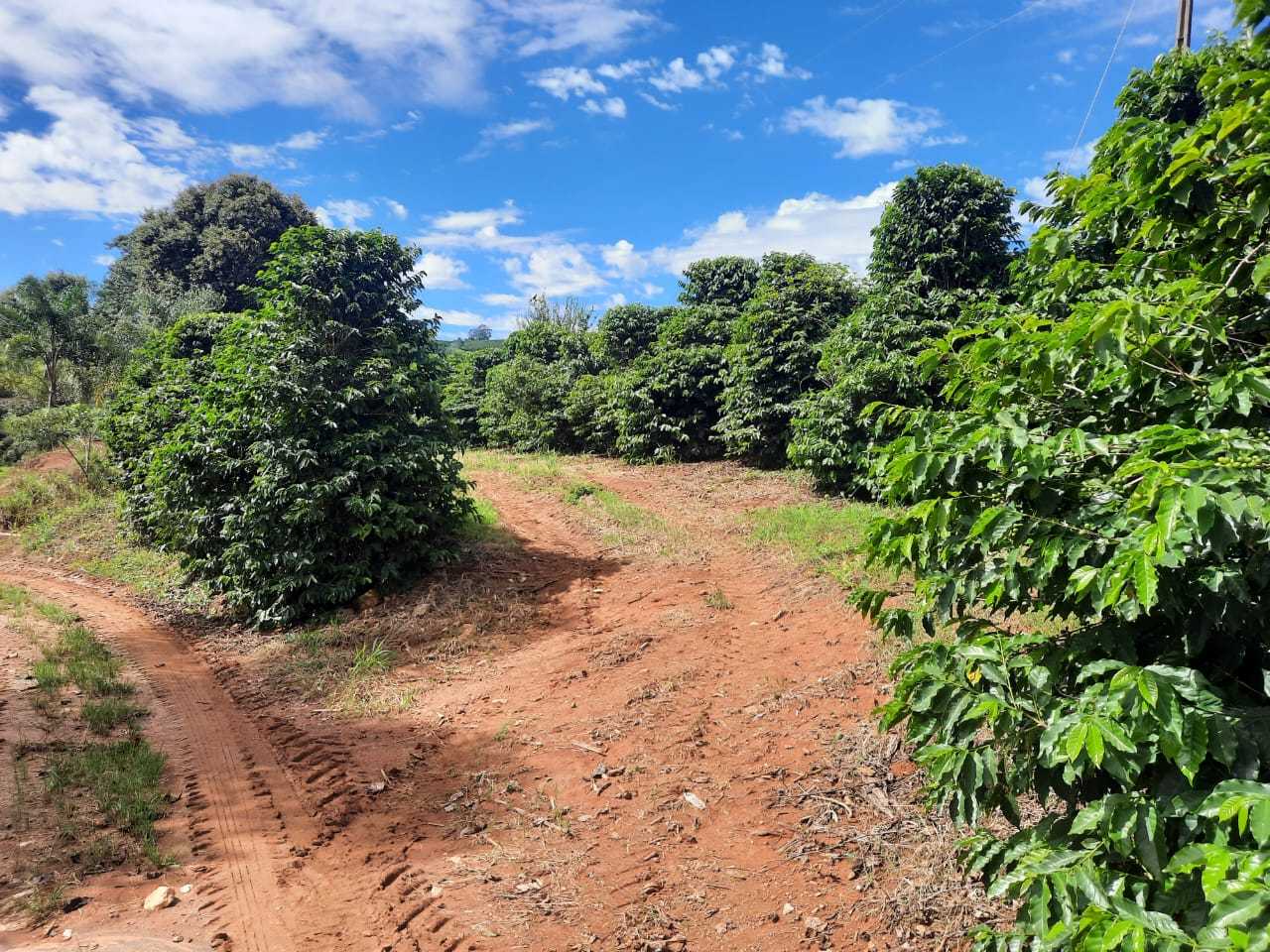 Chácara à venda com 4 quartos - Foto 6