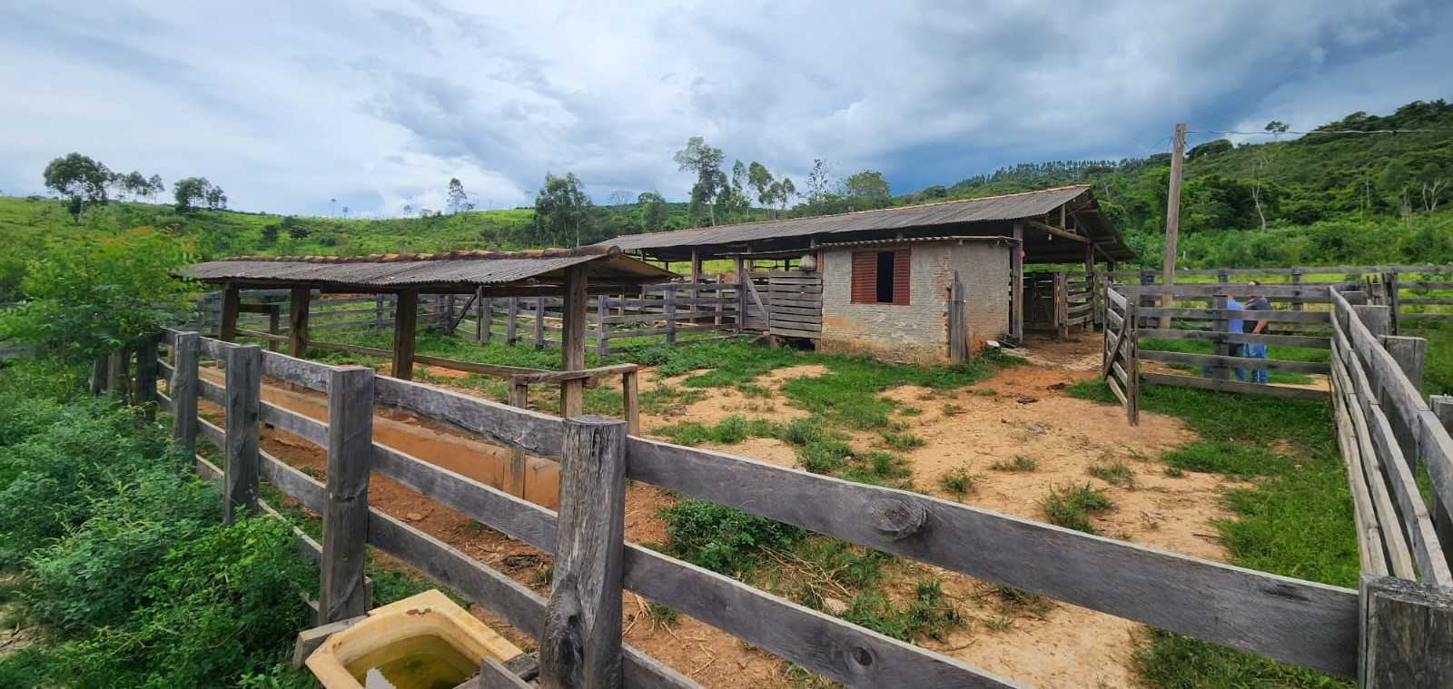 Chácara à venda com 3 quartos, 570000m² - Foto 19