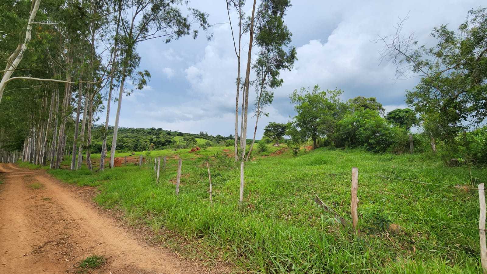 Chácara à venda com 3 quartos, 570000m² - Foto 11