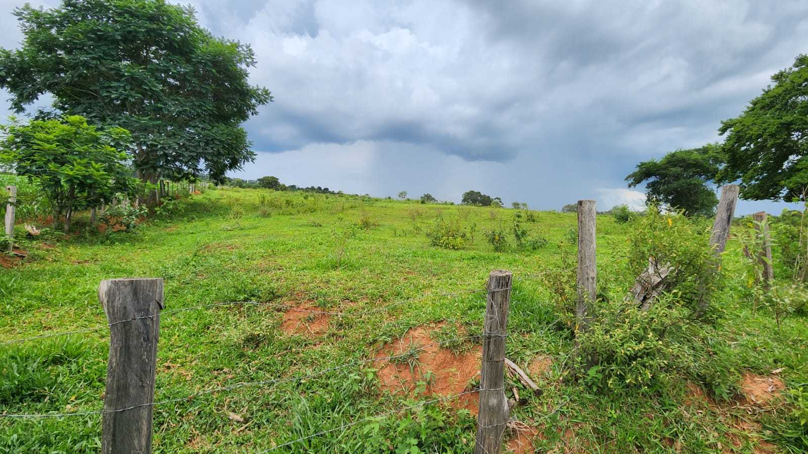 Chácara à venda com 3 quartos, 570000m² - Foto 10