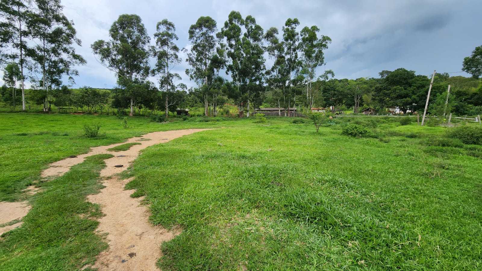 Chácara à venda com 3 quartos, 570000m² - Foto 25