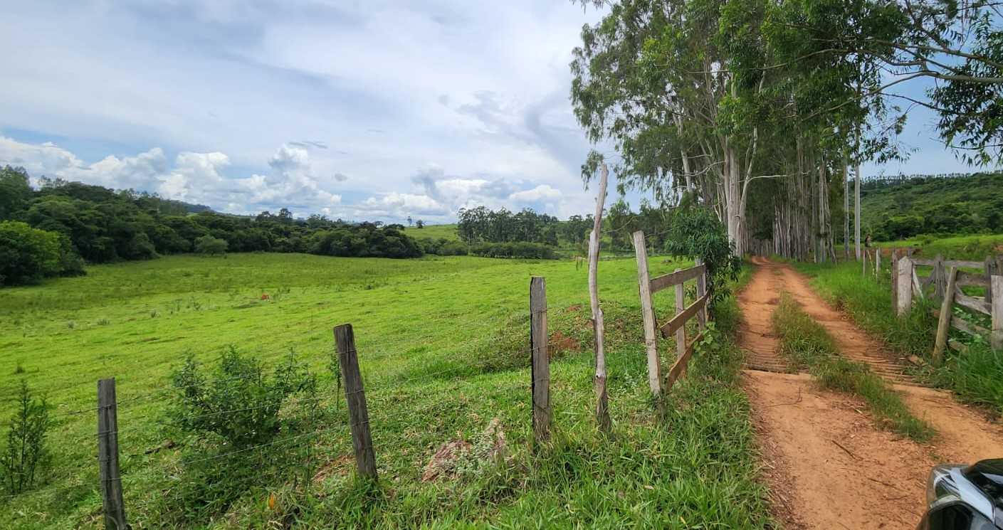 Chácara à venda com 3 quartos, 570000m² - Foto 13