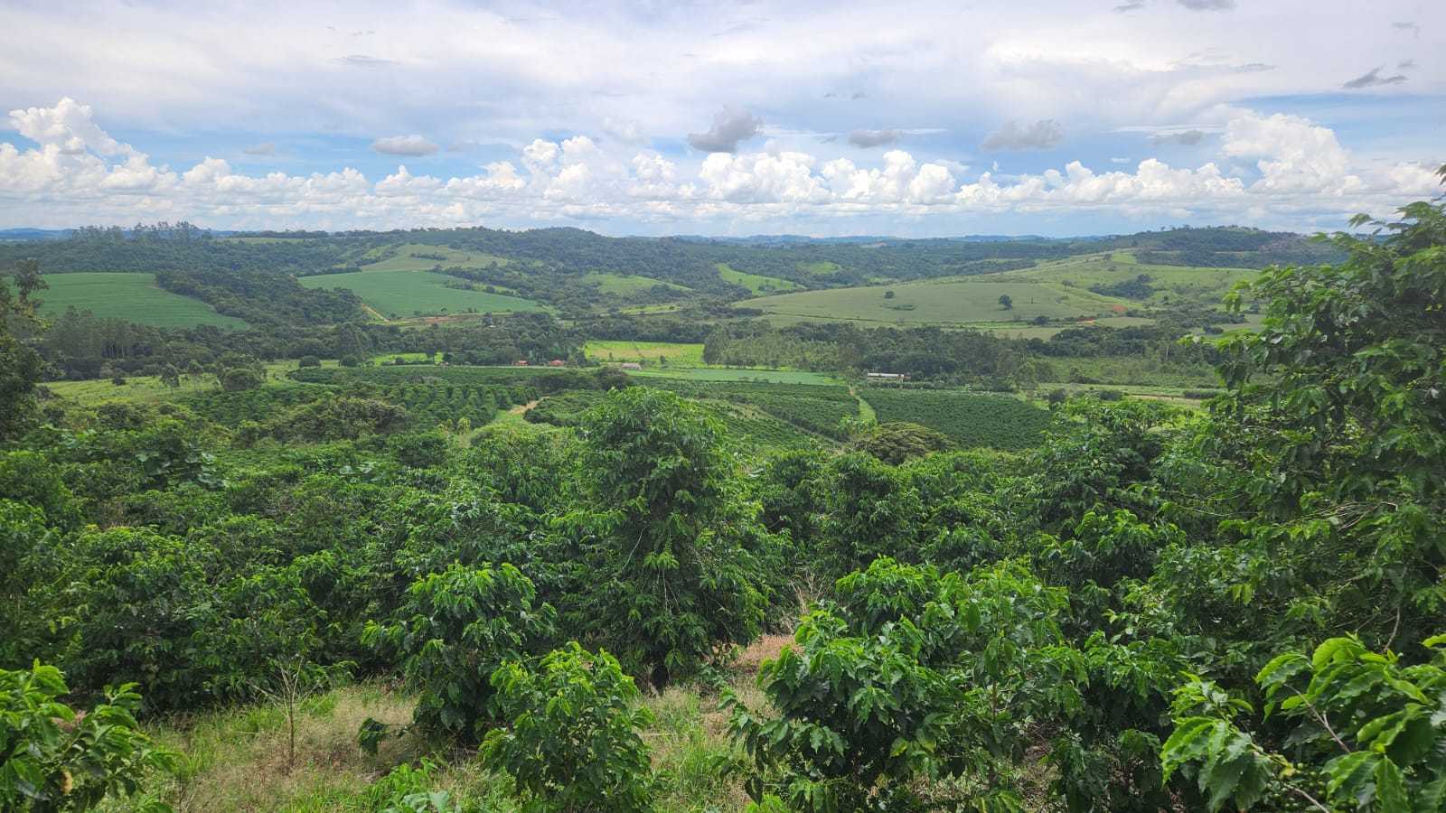 Chácara à venda com 3 quartos, 570000m² - Foto 2