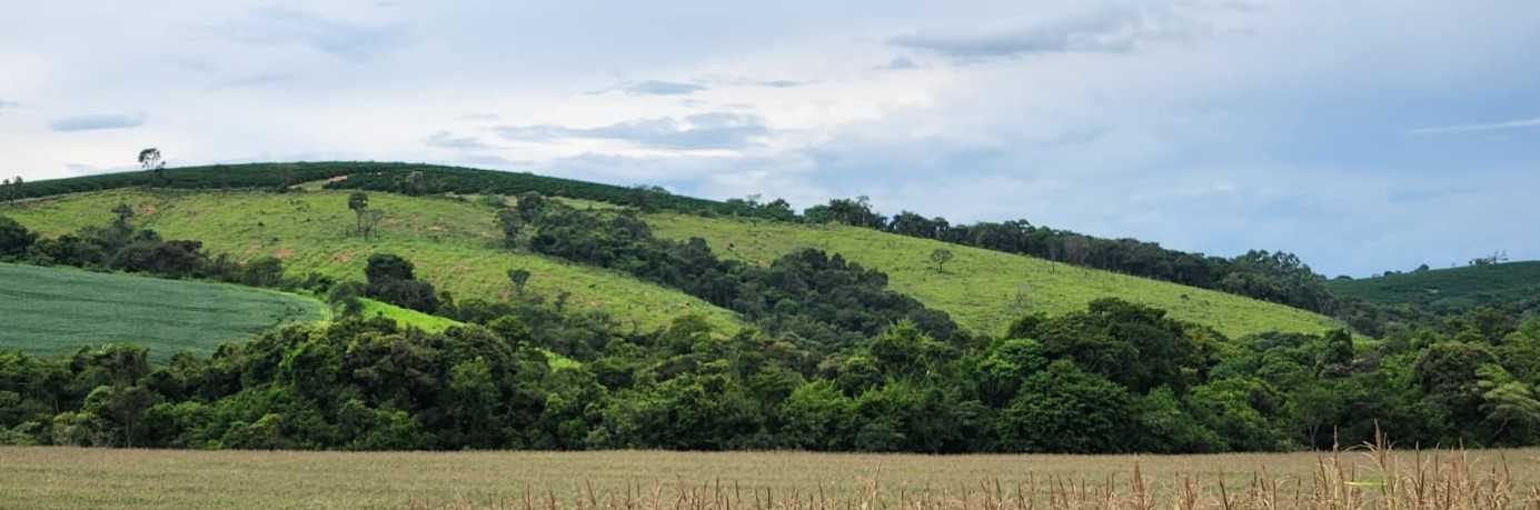 Chácara à venda com 1 quarto, 440000m² - Foto 7