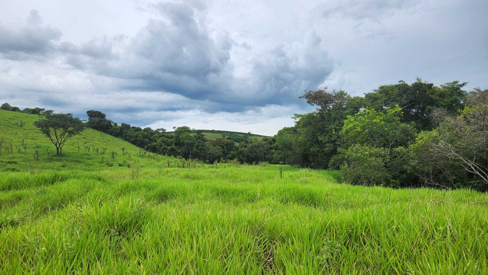 Chácara à venda com 1 quarto, 440000m² - Foto 4