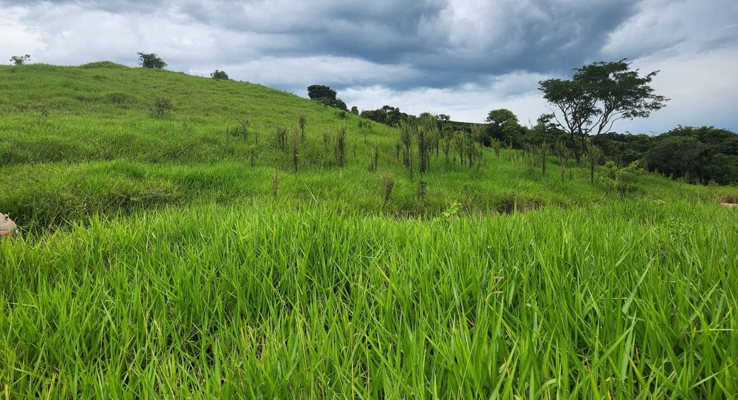 Chácara à venda com 1 quarto, 440000m² - Foto 8