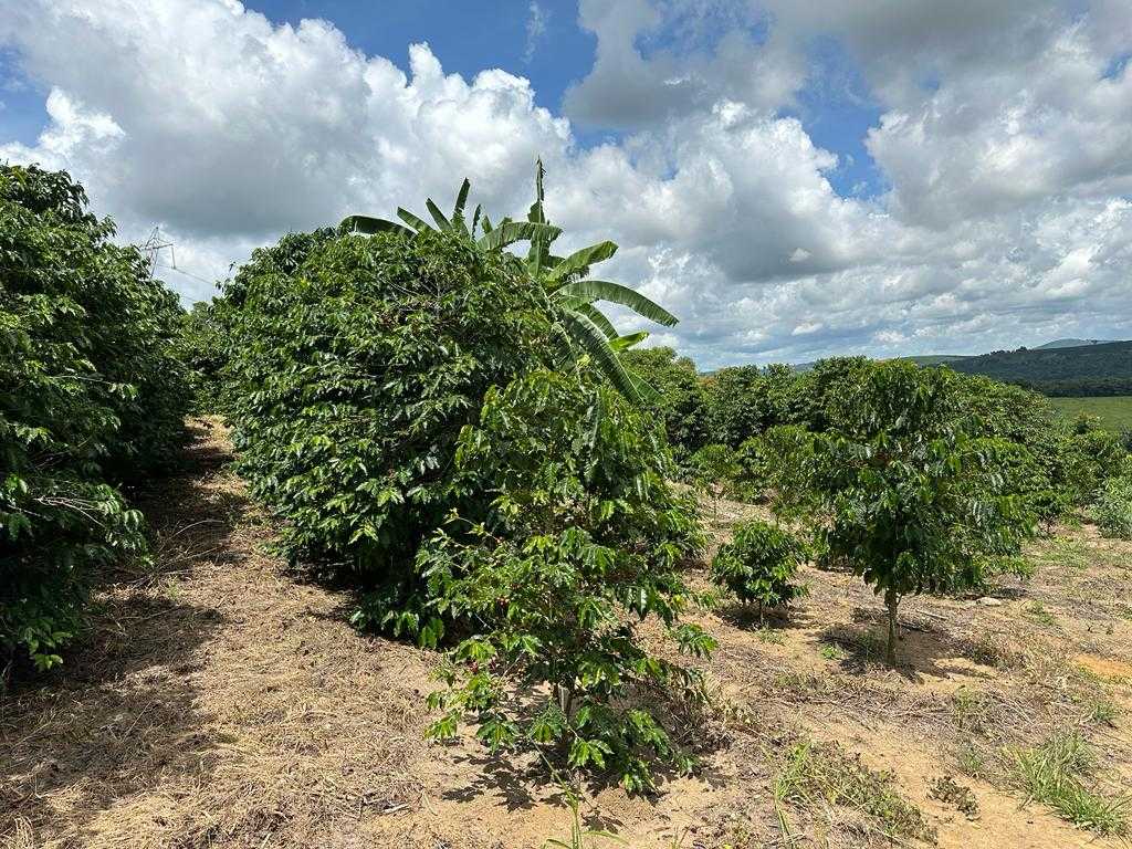 Chácara à venda com 2 quartos, 30000m² - Foto 14