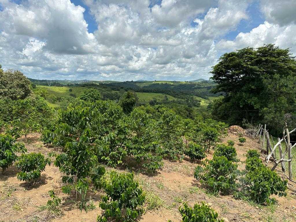 Chácara à venda com 2 quartos, 30000m² - Foto 10