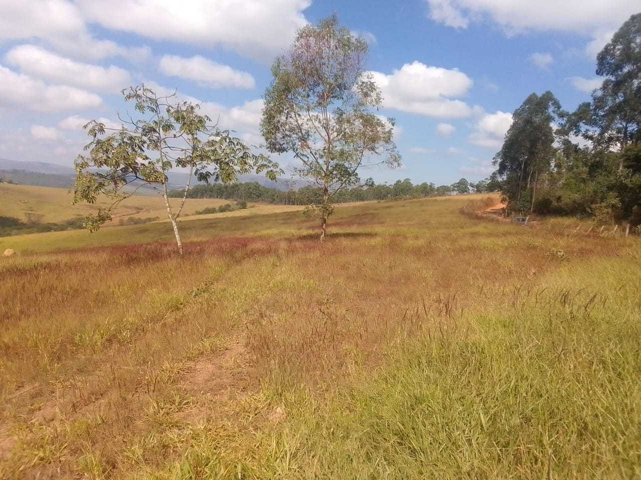 Chácara à venda com 1 quarto, 180000m² - Foto 2