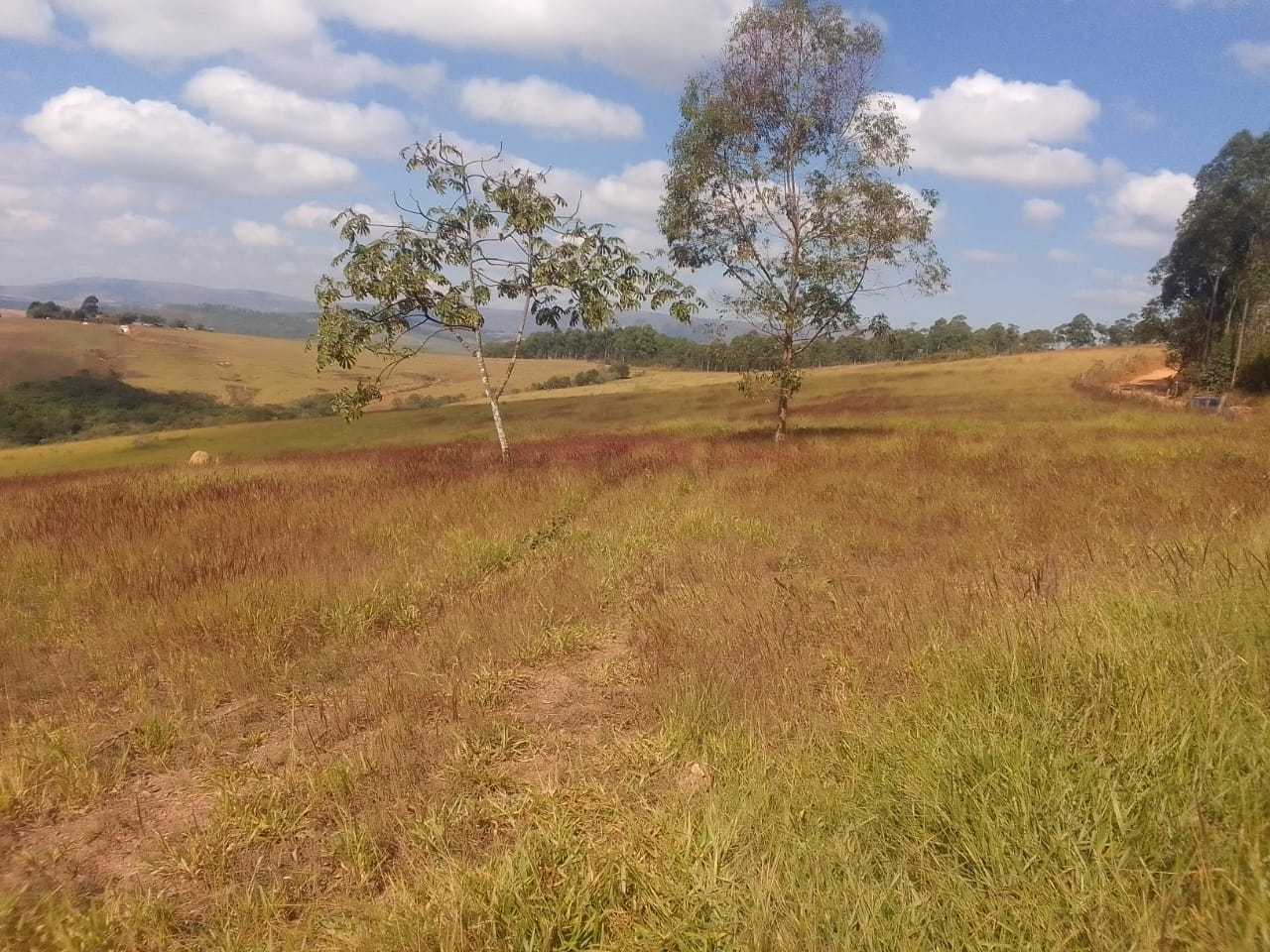 Chácara à venda com 1 quarto, 180000m² - Foto 6