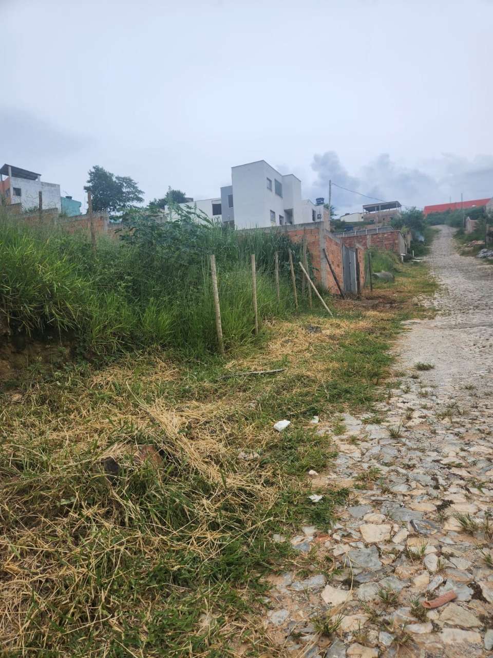 Terreno à venda, 300m² - Foto 3