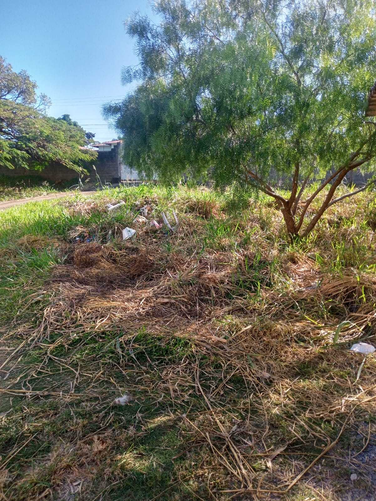 Terreno à venda, 360m² - Foto 4