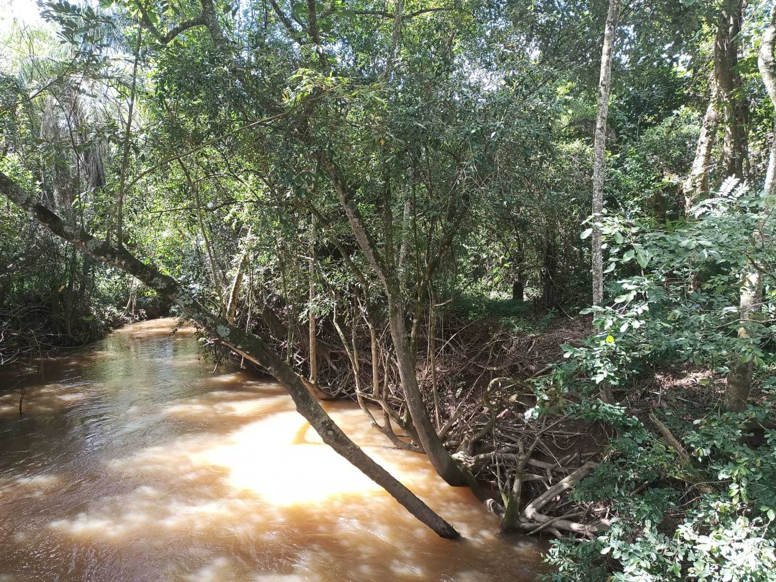 Chácara à venda com 1 quarto, 1000m² - Foto 2