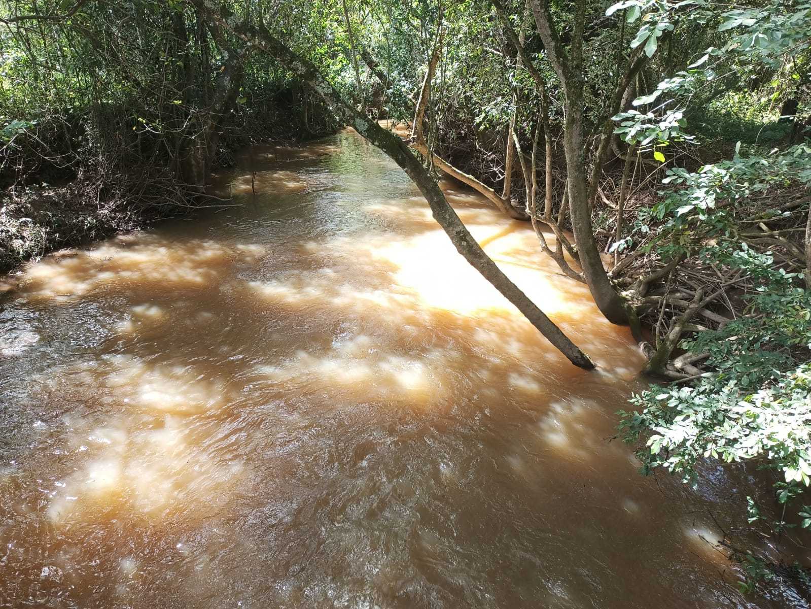 Chácara à venda com 1 quarto, 1000m² - Foto 1