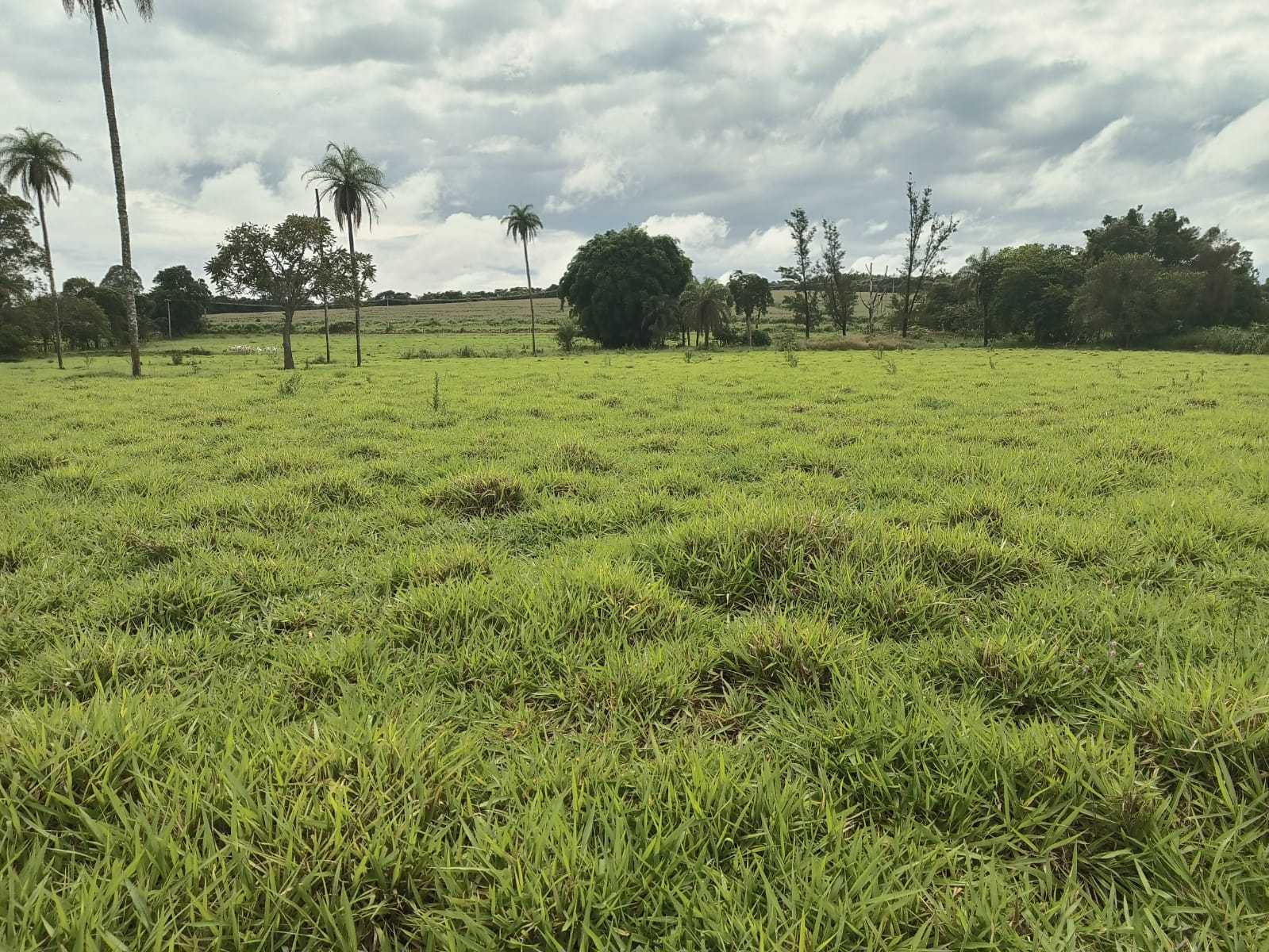 Chácara à venda com 1 quarto, 1000m² - Foto 3